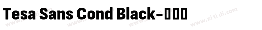Tesa Sans Cond Black字体转换 Tesa Sans Cond Black字体转换